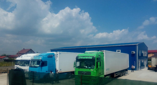 Strada Brândușei 10, Pantelimon 077145