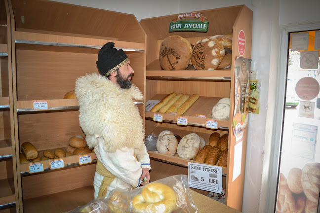 Ted Internaţional 2000 S.R.L.