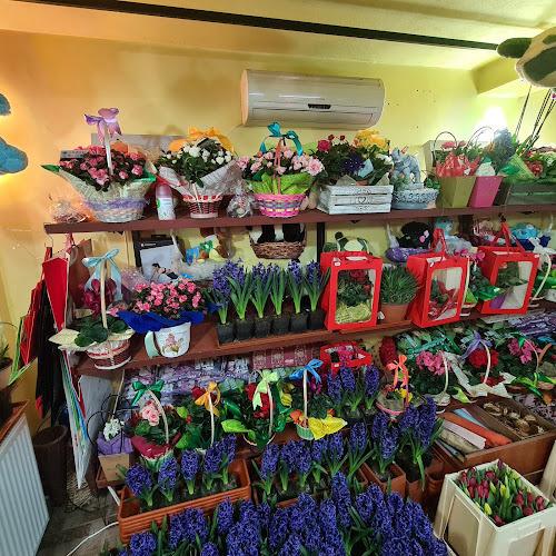 Florăria Tao-Tao - Gastronomie și ospitalitate