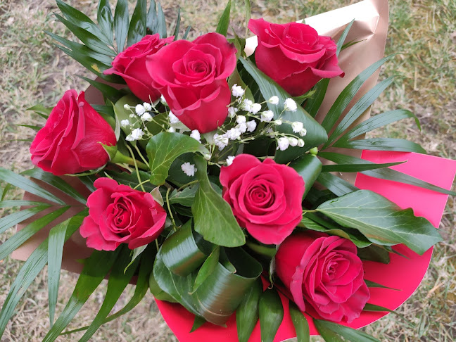 Floraria Anotimp - Hunedoara