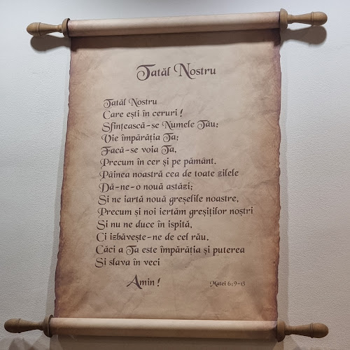 Cuibul Cocorilor - Arad