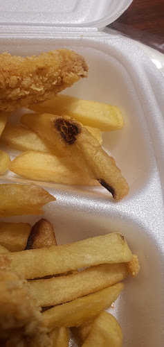 Panini - Gastronomie și ospitalitate