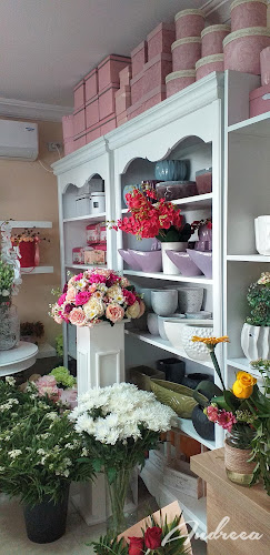 PicoBelo Florarie Fetesti - Fetești-Gară