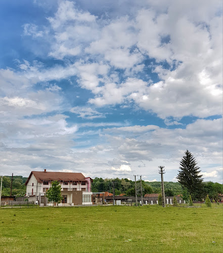 Opinii despre LA DOCTORUL în Albeștii Pământeni - Gastronomie și ospitalitate