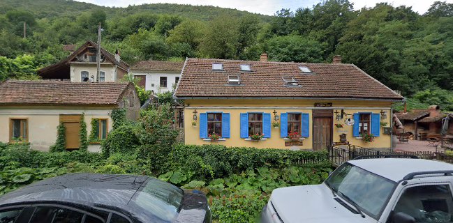 Pensiune si Restaurant 'La Vechea Moara'