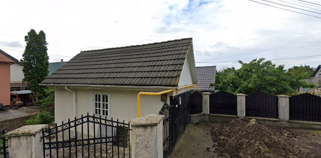 Magic Garden by Vlăduț