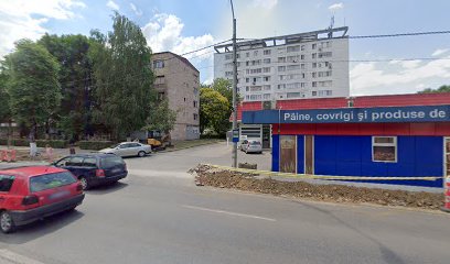 Cristipan Activ Peștiș