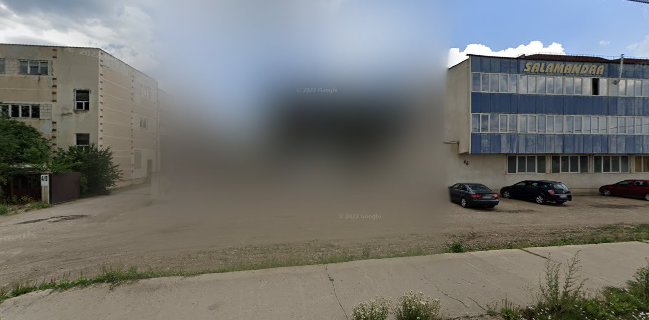 Case din lemn SALAMANDRA