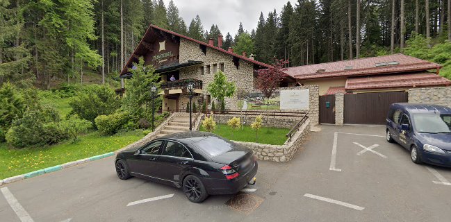 Opinii despre Restaurant Vânătorul în Brașov - Gastronomie și ospitalitate