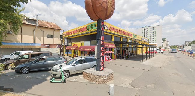 Cuptor de Pâine cu Lemne