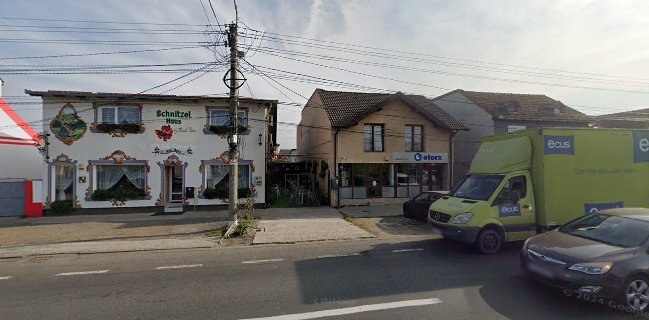 Casa Schnitzel Arad