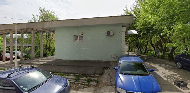 Paine cu maia de la Andreea