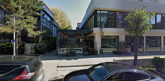 Opinii despre Latino în Suceava - Gastronomie și ospitalitate