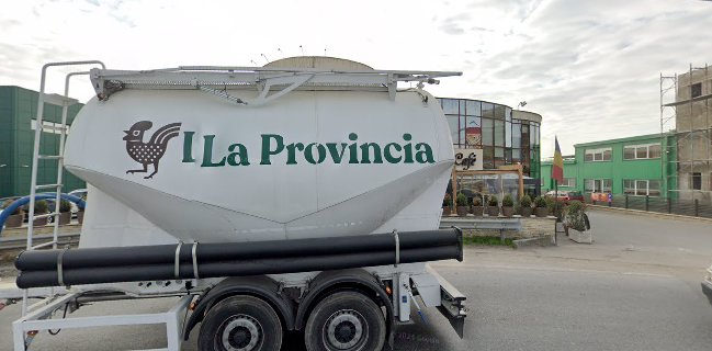 SC BOROMIR IND SRL RM. VÂLCEA