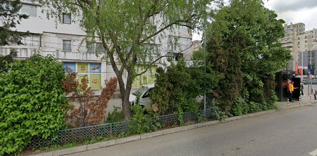 Carmen - Atelier Traditional De Panificatie Pacurari