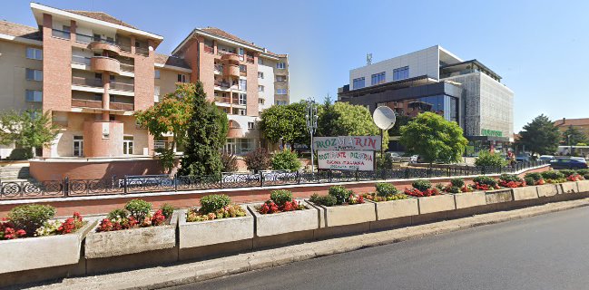 DAL BAFFO Ristorante Pizzeria