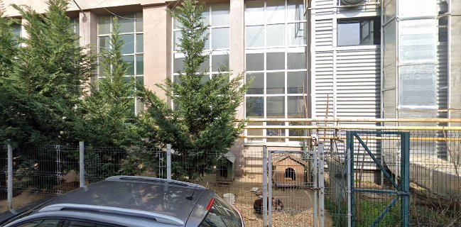 Premier Catering & Events