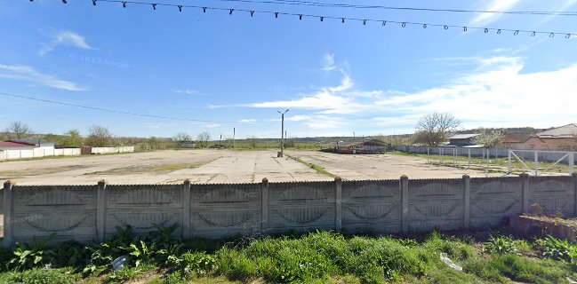 Targul Saptamanal Melinesti