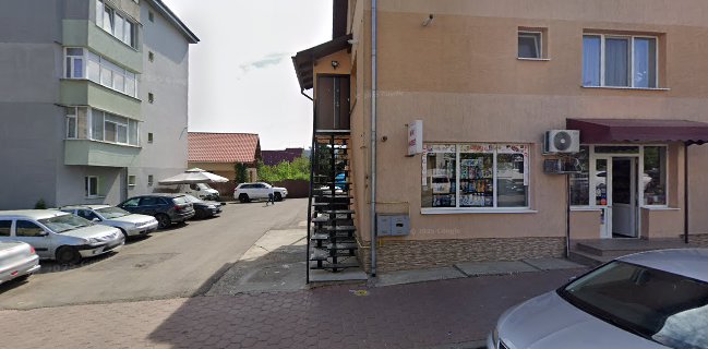 str ion irinescu 320