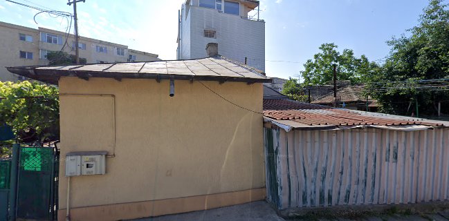 GRĂDINIŢA PROGRAM NORMAL TOM DEGEŢEL