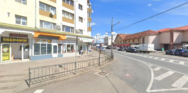 Strada Mihai Eminescu 1, Oțelu Roșu 325700