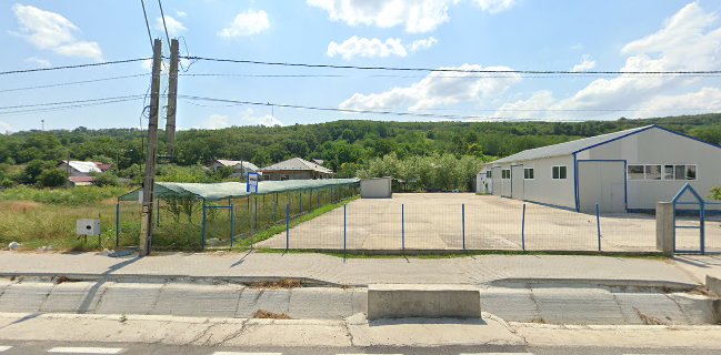 “Dival Cafe” Service si consumabile automate cafea.