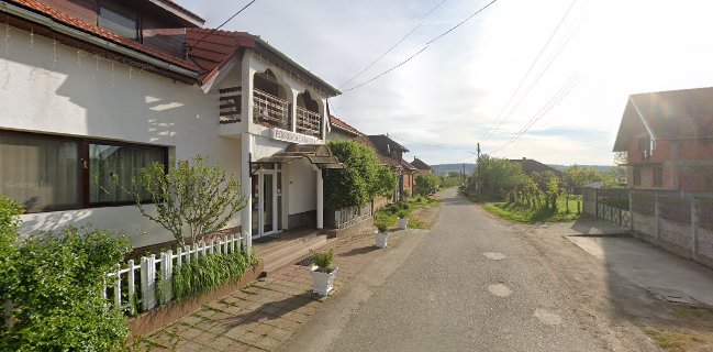 Opinii despre Pensiunea Daiadela în Duşeşti - Gastronomie și ospitalitate