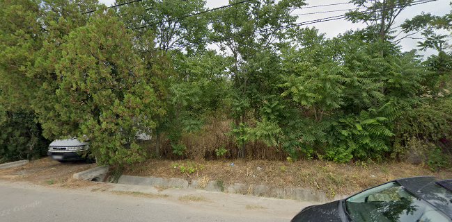 Evenimente Casa COstea