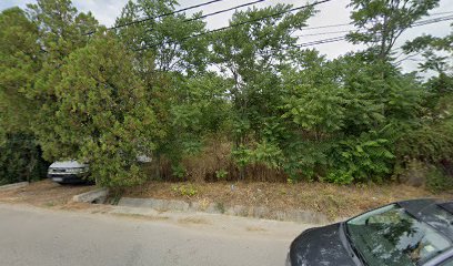 Evenimente Casa COstea