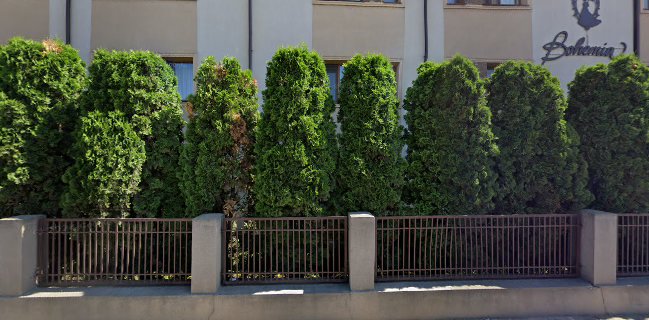 Restaurant Savarin Bacău