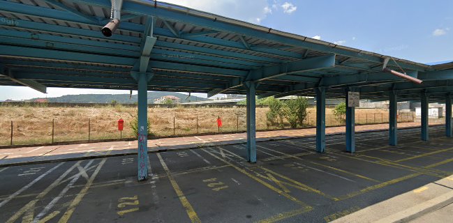 Targ de vechituri Goranu