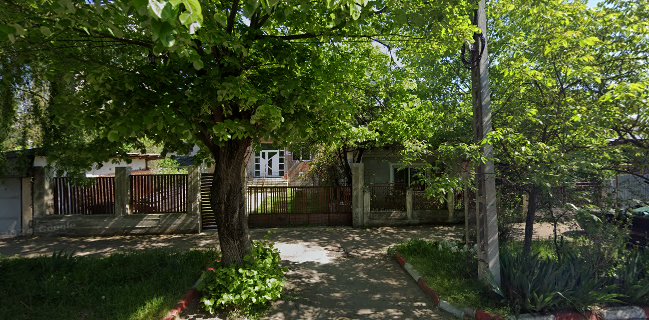 Conciato Pizzeria Ristoranti