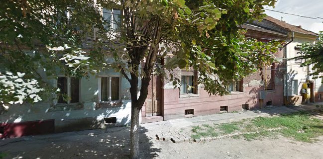 Pizza Drive - Gastronomie și ospitalitate