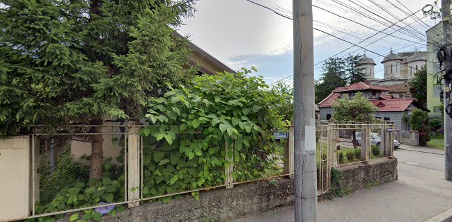 NOBLESSE ESTETIC S.R.L.