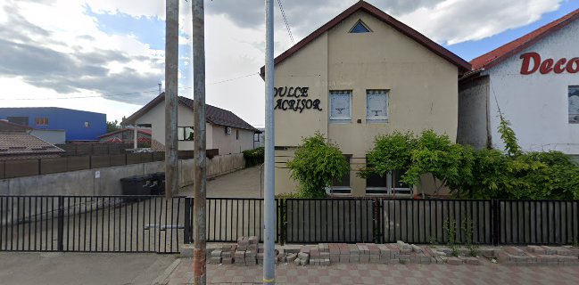 Dulce Acrisor Laborator