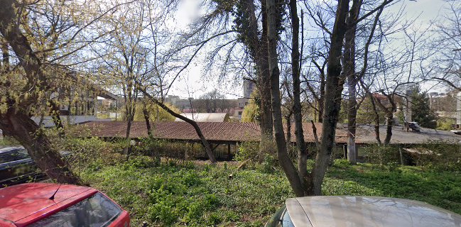 Opinii despre Grădina Bănaţeană în Timișoara - Gastronomie și ospitalitate