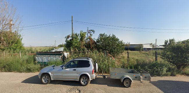 Opinii despre Piaţa Cosmești în Cosmeşti - Gastronomie și ospitalitate