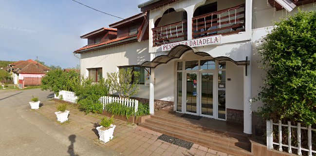 Pensiunea Daiadela - Duşeşti