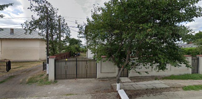 Fangaro - Lorelu Serv