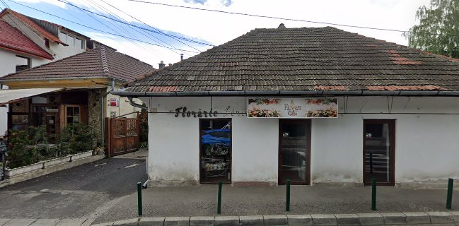 Pizzeria della Nonna