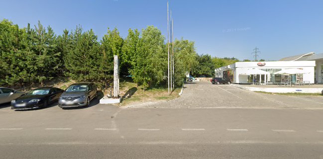 Opinii despre Pește și Vin în Brăila - Gastronomie și ospitalitate