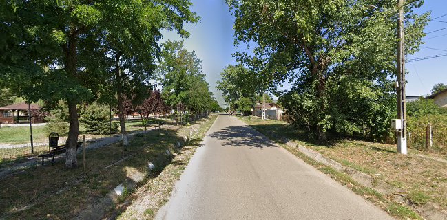 Brutaria Doru Grecea