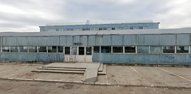 Piata Municipala Turnu Magurele