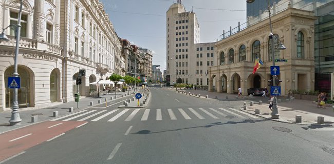 LA CAMPINEANU - Catering Mancare Gatita