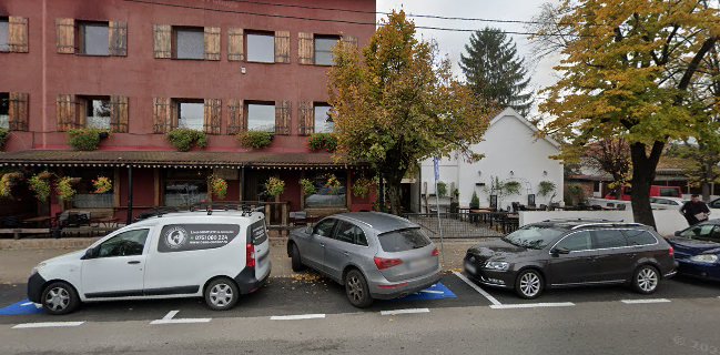 Restaurant Casa Dacilor Brancusi