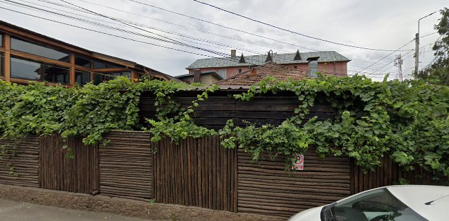 Comentarii opinii despre Pizzeria Alila