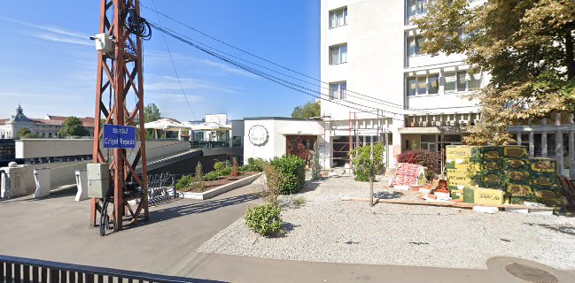 Comentarii opinii despre Crinul Alb