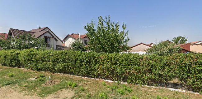 KIN-G BY DANA LUPEASCA