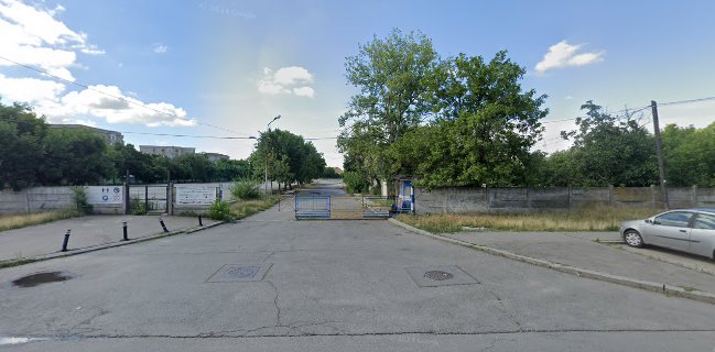 Târgul Municipal Zilnic