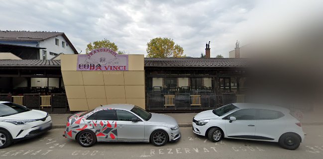 Coda Vinci Terasa Trandafirul